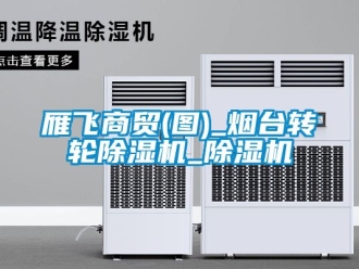 常見問(wèn)題雁飛商貿(mào)(圖)_煙臺(tái)轉(zhuǎn)輪除濕機(jī)_除濕機(jī)