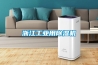 浙江工業用除濕機
