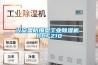 興安盟防爆型工業除濕機 BCFZ10