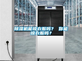 行業(yè)新聞除濕機能晾衣服嗎？ 你能晾衣服嗎？