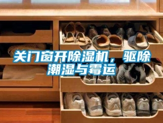 企業新聞關門窗開除濕機，驅除潮濕與霉運