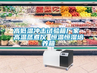 知識百科高低溫沖擊試驗箱廠家 高溫蒸煮儀 恒溫恒濕培養箱