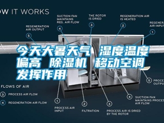 行業新聞今天大暑天氣 濕度溫度偏高 除濕機 移動空調發揮作用