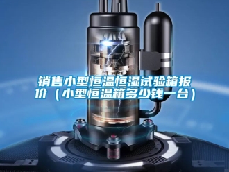 知識(shí)百科銷售小型恒溫恒濕試驗(yàn)箱報(bào)價(jià)（小型恒溫箱多少錢一臺(tái)）