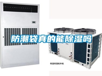 常見問題防潮袋真的能除濕嗎