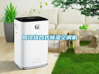 行業(yè)新聞風冷組合式除濕空調(diào)機