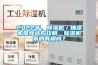 2022年，除濕機／抽濕機推薦選購攻略，除濕機真的有用嗎？