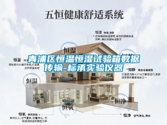 知識百科青浦區恒溫恒濕試驗箱數據傳輸-標承實驗儀器