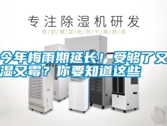 行業新聞今年梅雨期延長！受夠了又濕又霉？你要知道這些