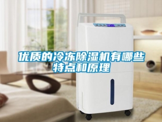 知識百科優質的冷凍除濕機有哪些特點和原理