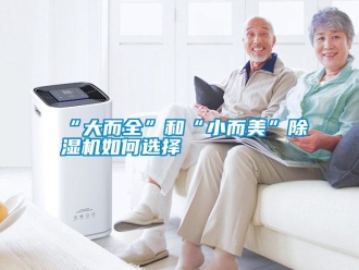 常見(jiàn)問(wèn)題“大而全”和“小而美”除濕機(jī)如何選擇