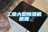 工業大型除濕機原理