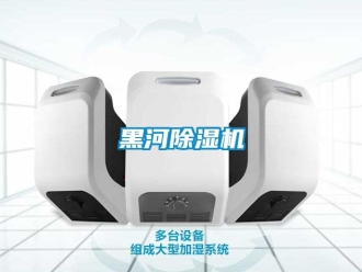 行業(yè)新聞黑河除濕機(jī)