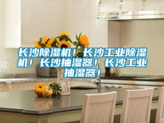 常見問題長沙除濕機(jī)！長沙工業(yè)除濕機(jī)！長沙抽濕器！長沙工業(yè)抽濕器！