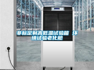 常見問題非標定制高低溫試驗箱 環境試驗老化艙