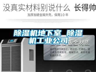常見問題除濕機地下室 除濕機工業公司