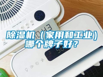 常見問題除濕機（家用和工業(yè)）哪個牌子好？
