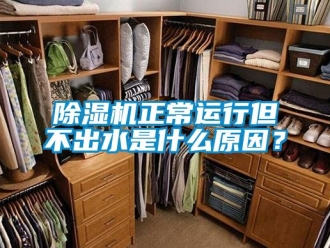 行業(yè)新聞除濕機(jī)正常運(yùn)行但不出水是什么原因？