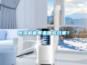 行業(yè)新聞除濕機能帶來哪些效果？
