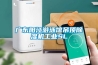 廣東陽江游泳館吊頂除濕機工業(yè)SL