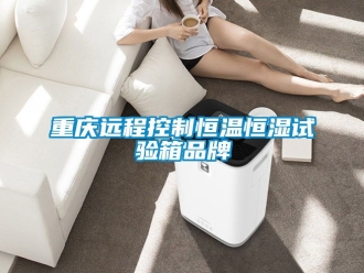 知識百科重慶遠程控制恒溫恒濕試驗箱品牌