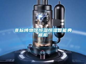 知識百科非標博物館恒溫恒濕智能典藏柜