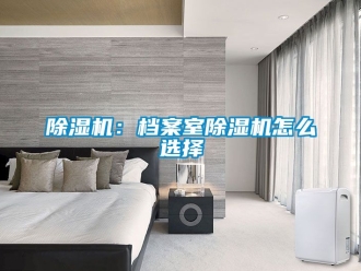 企業新聞除濕機：檔案室除濕機怎么選擇