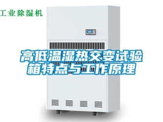 常見問題高低溫濕熱交變試驗箱特點與工作原理