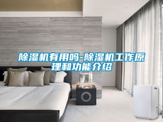 行業新聞除濕機有用嗎-除濕機工作原理和功能介紹