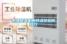 防爆除濕機的特點及選購技巧