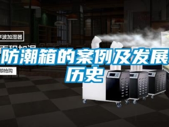 常見問題防潮箱的案例及發展歷史