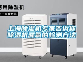 知識(shí)百科上海除濕機(jī)專家告訴你除濕機(jī)漏氟的檢測方法