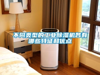 常見問題不同類型的工業(yè)除濕機(jī)各有哪些特征和優(yōu)點(diǎn)