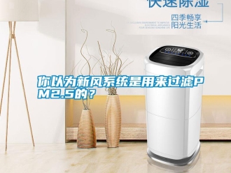 行業(yè)新聞你以為新風(fēng)系統(tǒng)是用來過濾PM2.5的？