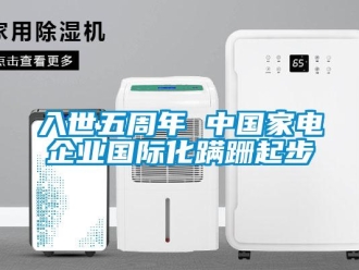 行業(yè)新聞入世五周年 中國家電企業(yè)國際化蹣跚起步