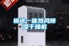 輸送一體熱風除濕干燥機