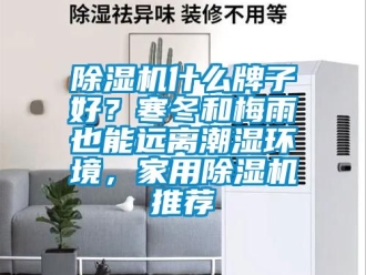 常見問題除濕機什么牌子好？寒冬和梅雨也能遠離潮濕環(huán)境，家用除濕機推薦