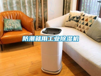 常見問題防潮就用工業除濕機