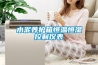 水泥養護箱恒溫恒濕控制儀表
