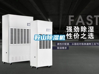 企業(yè)新聞鞍山除濕機