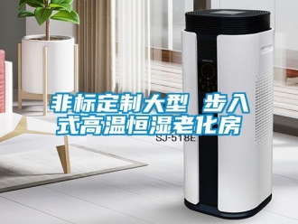 知識百科非標定制大型 步入式高溫恒濕老化房