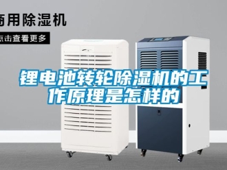 常見問題鋰電池轉輪除濕機的工作原理是怎樣的
