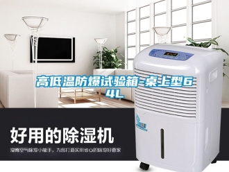 企業新聞高低溫防爆試驗箱-桌上型64L
