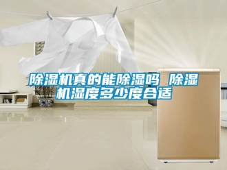 行業(yè)新聞除濕機(jī)真的能除濕嗎 除濕機(jī)濕度多少度合適