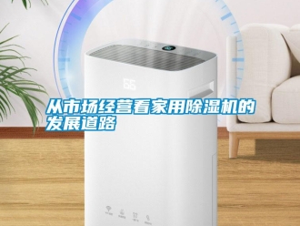 企業新聞從市場經營看家用除濕機的發展道路