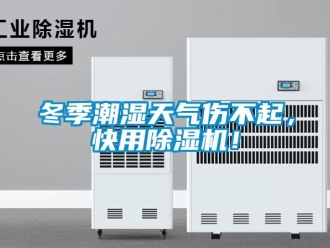 企業新聞冬季潮濕天氣傷不起，快用除濕機！