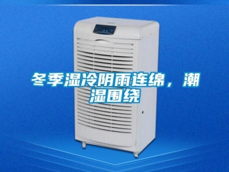 企業新聞冬季濕冷陰雨連綿，潮濕圍繞