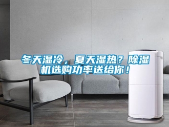 企業(yè)新聞冬天濕冷，夏天濕熱？除濕機選購功率送給你！