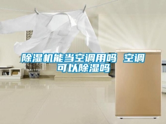 行業(yè)新聞除濕機(jī)能當(dāng)空調(diào)用嗎 空調(diào)可以除濕嗎