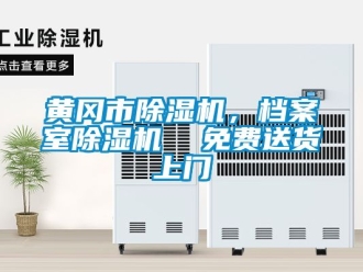行業(yè)新聞黃岡市除濕機(jī)，檔案室除濕機(jī)  免費(fèi)送貨上門(mén)